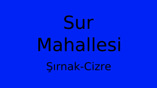 Sur Mahallesi Thumbnail