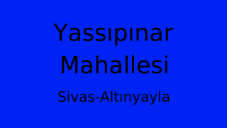 Yassıpınar Mahallesi Thumbnail