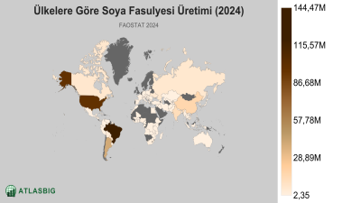 Ülkelere Göre Soya Fasulyesi Üretimi 2026 Thumbnail