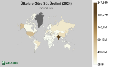 Ülkelere Göre Süt Üretimi 2026 Thumbnail