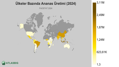 Ülkeler Bazında Ananas Üretimi 2026 Thumbnail