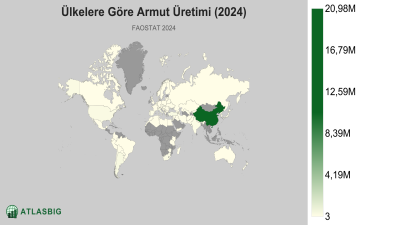 Ülkelere Göre Armut Üretimi (2024) Thumbnail