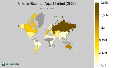 Ülkeler Bazında Arpa Üretimi 2026 Thumbnail