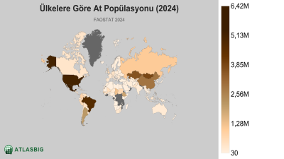 Ülkelere Göre At Popülasyonu 2026