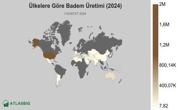 Ülkelere Göre Badem Üretimi (2024) Thumbnail