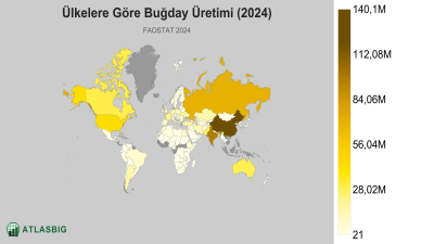 Ülkelere Göre Buğday Üretimi 2026