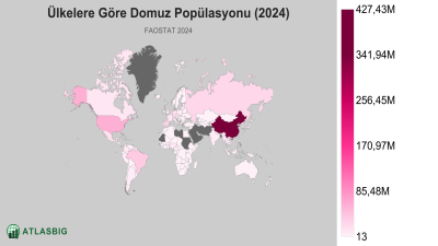 Ülkelere Göre Domuz Popülasyonu 2026