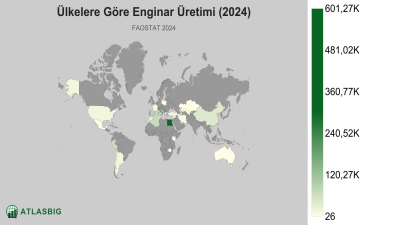 Ülkelere Göre Enginar Üretimi (2024) Thumbnail