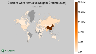 Ülkelere Göre Havuç ve Şalgam Üretimi 2026 Thumbnail