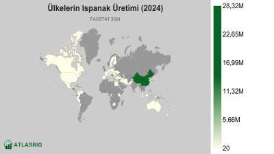 Ülkelerin Ispanak Üretimi 2026 Thumbnail