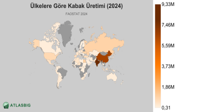 Ülkelere Göre Kabak Üretimi (2024) Thumbnail