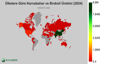 Ülkelere Göre Karnabahar ve Brokoli Üretimi 2026 Thumbnail