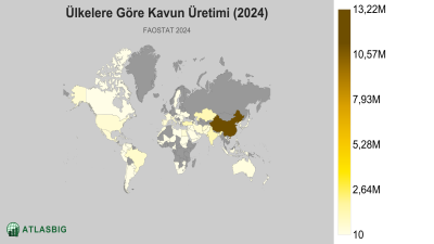 Ülkelere Göre Kavun Üretimi (2024) Thumbnail