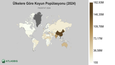 Ülkelere Göre Koyun Popülasyonu 2026