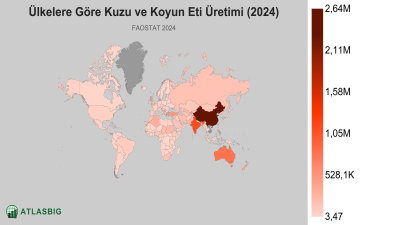 Ülkelere Göre Kuzu ve Koyun Eti Üretimi 2026 Thumbnail