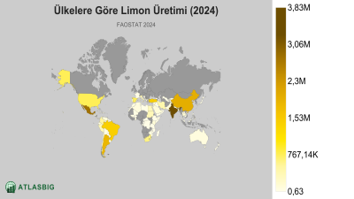 Ülkelere Göre Limon Üretimi 2026 Thumbnail