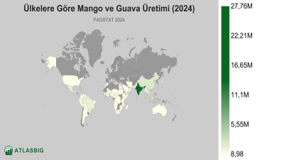 Ülkelere Göre Mango ve Guava Üretimi (2024) Thumbnail