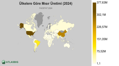 Ülkelere Göre Mısır Üretimi 2026