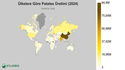 Ülkelere Göre Patates Üretimi 2026 Thumbnail