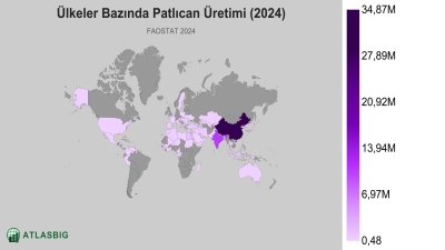 Ülkeler Bazında Patlıcan Üretimi 2026 Thumbnail