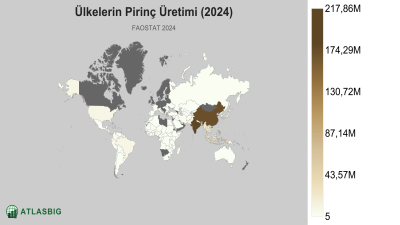 Ülkelerin Pirinç Üretimi (2024) Thumbnail