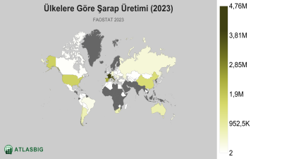Ülkelere Göre Şarap Üretimi 2026 Thumbnail