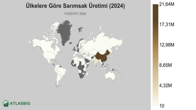 Ülkelere Göre Sarımsak Üretimi 2026 Thumbnail