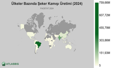 Ülkeler Bazında Şeker Kamışı Üretimi 2026 Thumbnail