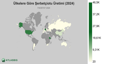 Ülkelere Göre Şerbetçiotu Üretimi 2026 Thumbnail