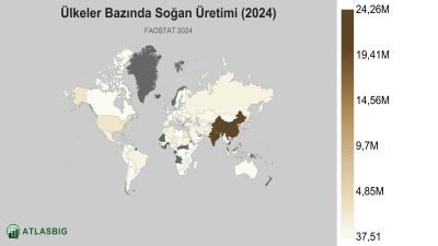 Ülkeler Bazında Soğan Üretimi (2024) Thumbnail