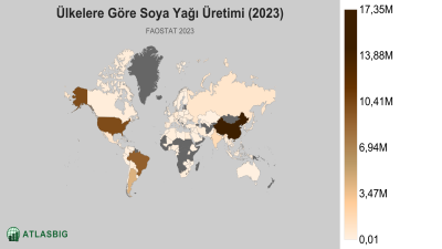 Ülkelere Göre Soya Yağı Üretimi 2026 Thumbnail
