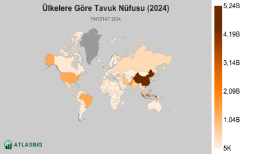 Ülkelere Göre Tavuk Nüfusu 2026