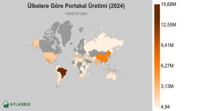 Ülkelere Göre Portakal Üretimi 2026 Thumbnail