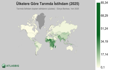 Ülkelere Göre Tarımda İstihdam 2026 Thumbnail