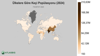 Ülkelere Göre Keçi Popülasyonu 2026
