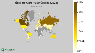 Ülkelere Göre Yulaf Üretimi 2026 Thumbnail