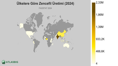 Ülkelere Göre Zencefil Üretimi (2024) Thumbnail