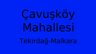 Çavuşköy Mahallesi Thumbnail