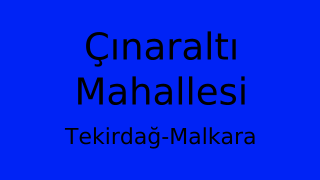 Çınaraltı Mahallesi Thumbnail