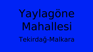 Yaylagöne Mahallesi Thumbnail