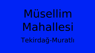 Müsellim Mahallesi Thumbnail