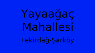 Yayaağaç Mahallesi Thumbnail