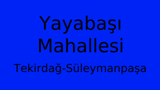 Yayabaşı Mahallesi Thumbnail
