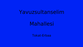 Yavuzsultanselim Mahallesi Thumbnail