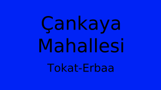 Çankaya Mahallesi Thumbnail