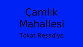 Çamlık Mahallesi Thumbnail
