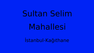 Sultan Selim Mahallesi Thumbnail