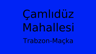 Çamlıdüz Mahallesi Thumbnail