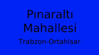 Pınaraltı Mahallesi Thumbnail