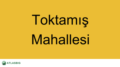 Toktamış Mahallesi Haritası Thumbnail